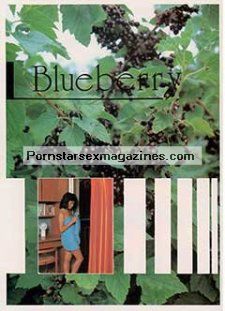 Blueberry japanese magazine